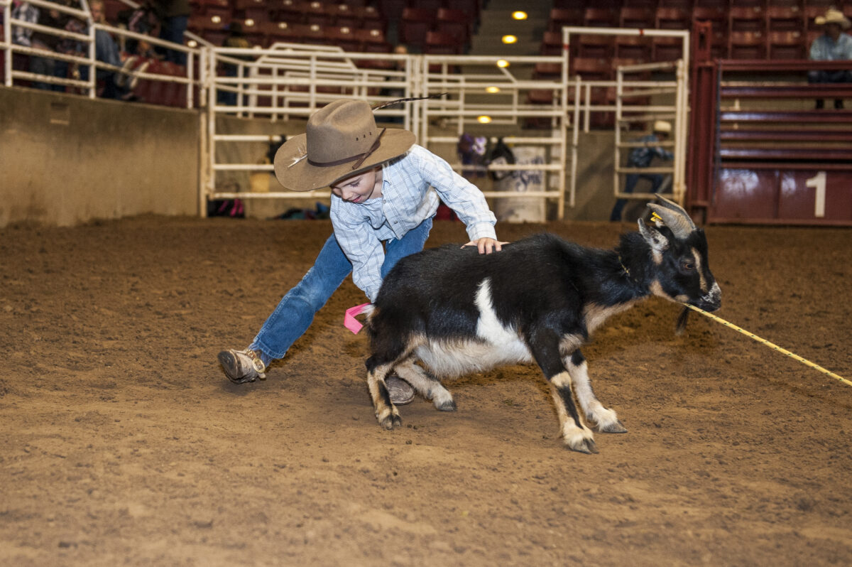 Young stars steal show at Utah Youth Rodeo | News, Sports, Jobs ...